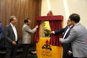 طرح‌های گاز رسانی استان فارس با دستور وزیر نفت به بهره‌برداری رسید