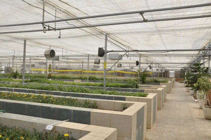 شهرداری لواسان رتبه یک میز خدمت مصلی های استان تهران را کسب کرد