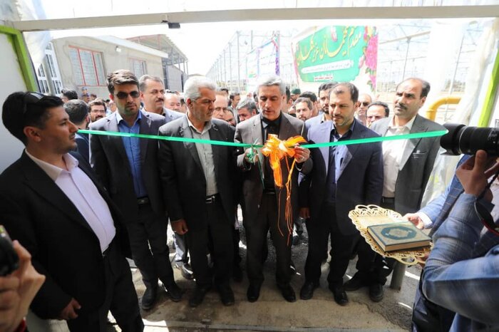 استاندار همدان: دولت سیزدهم از سرمایهگذاران حمایت میکند