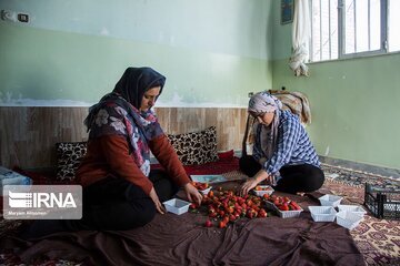 Leyli Serasından fotoğraflar