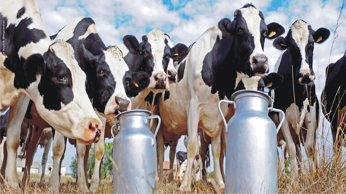 شیر مصنوعی در راه است/ صنعت لبنیات متحول می‌شود