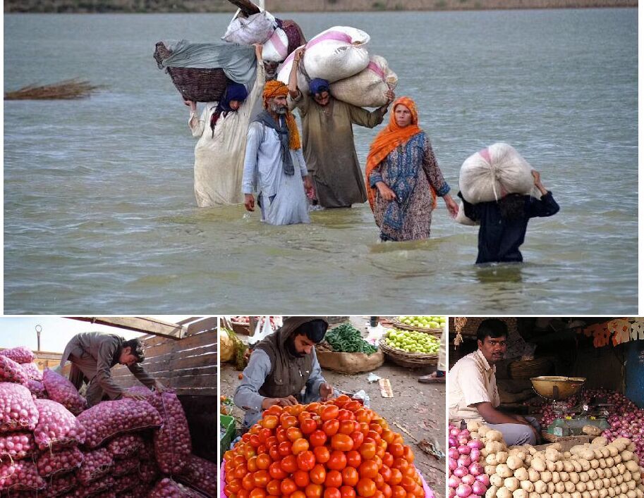 پاکستان میں سیلاب؛ مشرقی پڑوسی کی ایران کیجانب سے زرعی مصنوعات کی فراہمی پر امید