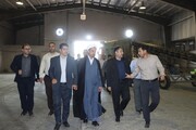 رئیس کل دادگستری اردبیل بر حدنگاری اراضی ملی تاکید کرد