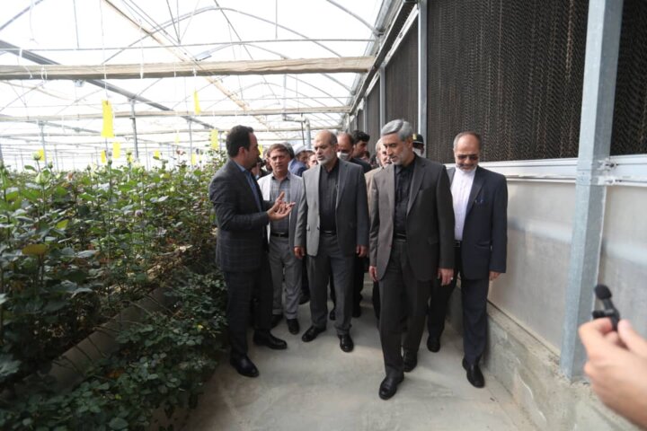 وزیر کشور از مجموعه گلخانه ای تولید گل رز در شهرستان کبودرآهنگ بازدید کرد