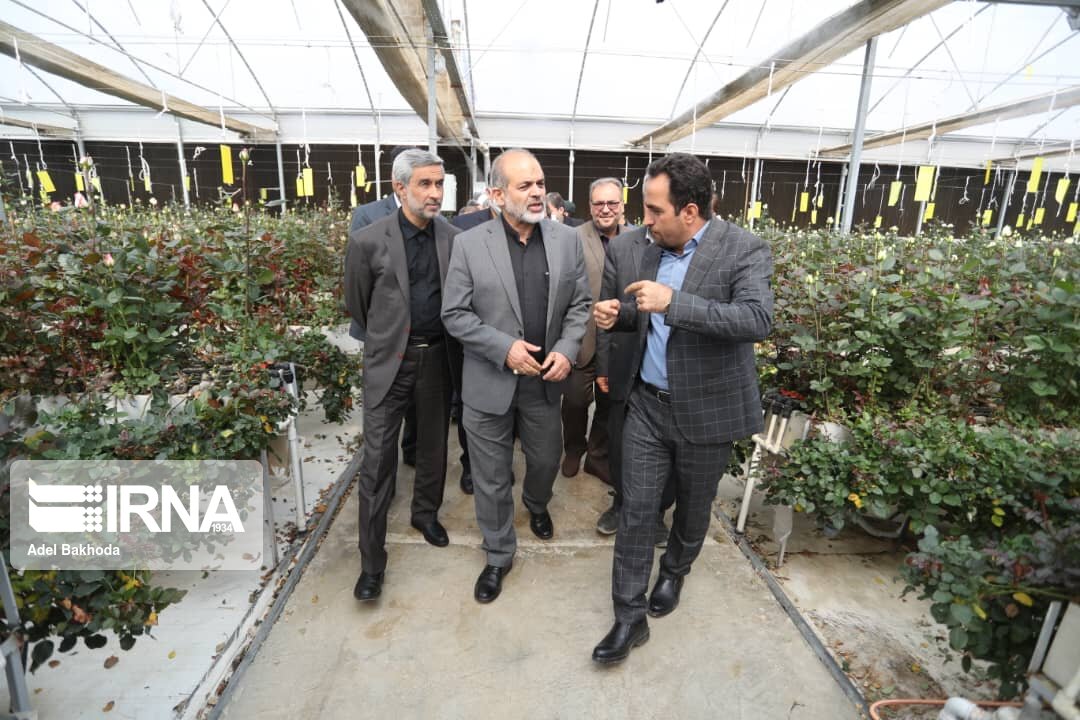 وزیر کشور از مجموعه گلخانه ای تولید گل رز در شهرستان کبودرآهنگ بازدید کرد