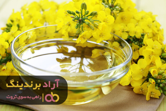 آخرین و جدیدترین قیمت خرید روغن کانولا تراریخته در مشهد