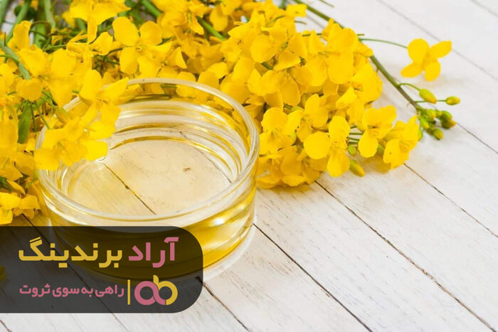 آخرین و جدیدترین قیمت خرید روغن کانولا تراریخته در مشهد