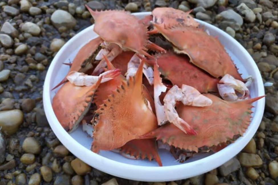 بومیسازی مواد شیمیایی پُرمصرف صنعت نفت تا ابداع تلویزیون اتمی + فیلم 27