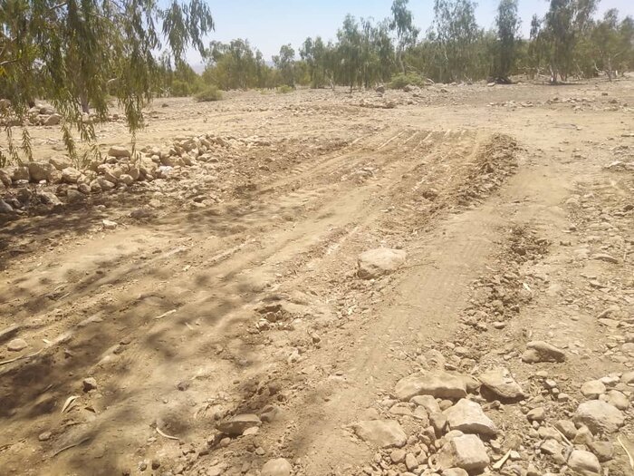 رئیس منابع طبیعی: ۱۰ هکتار باغ غیرقانونی در گچساران قلع و قمع شد