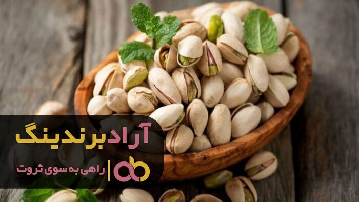 افزایش فروش پسته فندقی حاج اکبری تازه در سیرجان