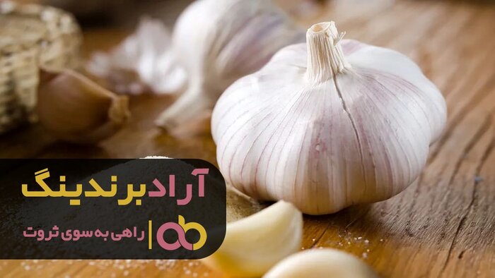 بررسی قیمت خرید پودر سیر تکسو گلها و گلستان