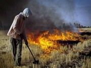 آتش زدن کاه و کلش مزارع تهدیدی جدی برای خاک کشاورزی است