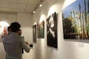 نمایش شور حسینی در دو نمایشگاه گروهی عکس