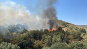 آتش‌سوزی عرصه‌های منابع طبیعی غرب مازندران ۶۹ درصد کاهش یافت