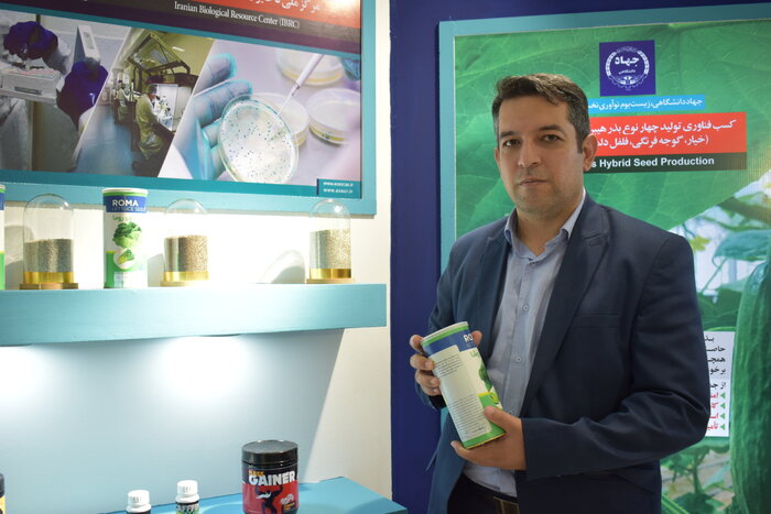 قطع وابستگی به خارج با دستیابی به توان تولید و صادرات بذرهای هیبریدی