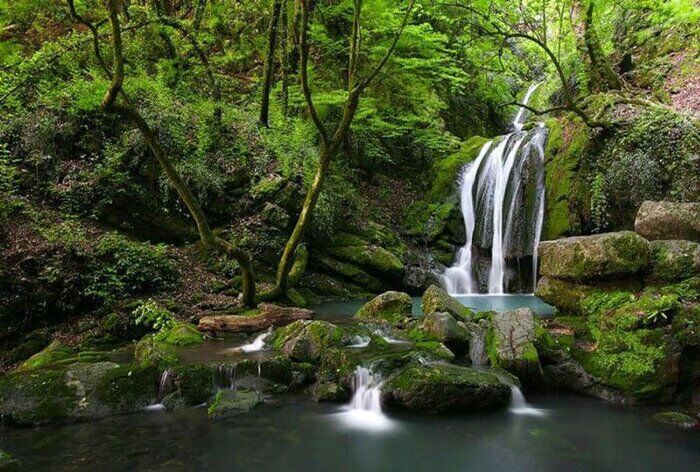 آخرین جزییات حادثه منجر به فوت ۲ کودک در آبشار شیرآباد رامیان آخرین جزییات حادثه منجر به فوت ۲ کودک در آبشار شیرآباد رامیان