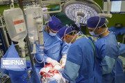 Organ transplants hit record high in Iran