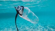 پنج کشور؛ عامل اصلی انباشت پسماندهای پلاستیکی در اقیانوس‌ آرام