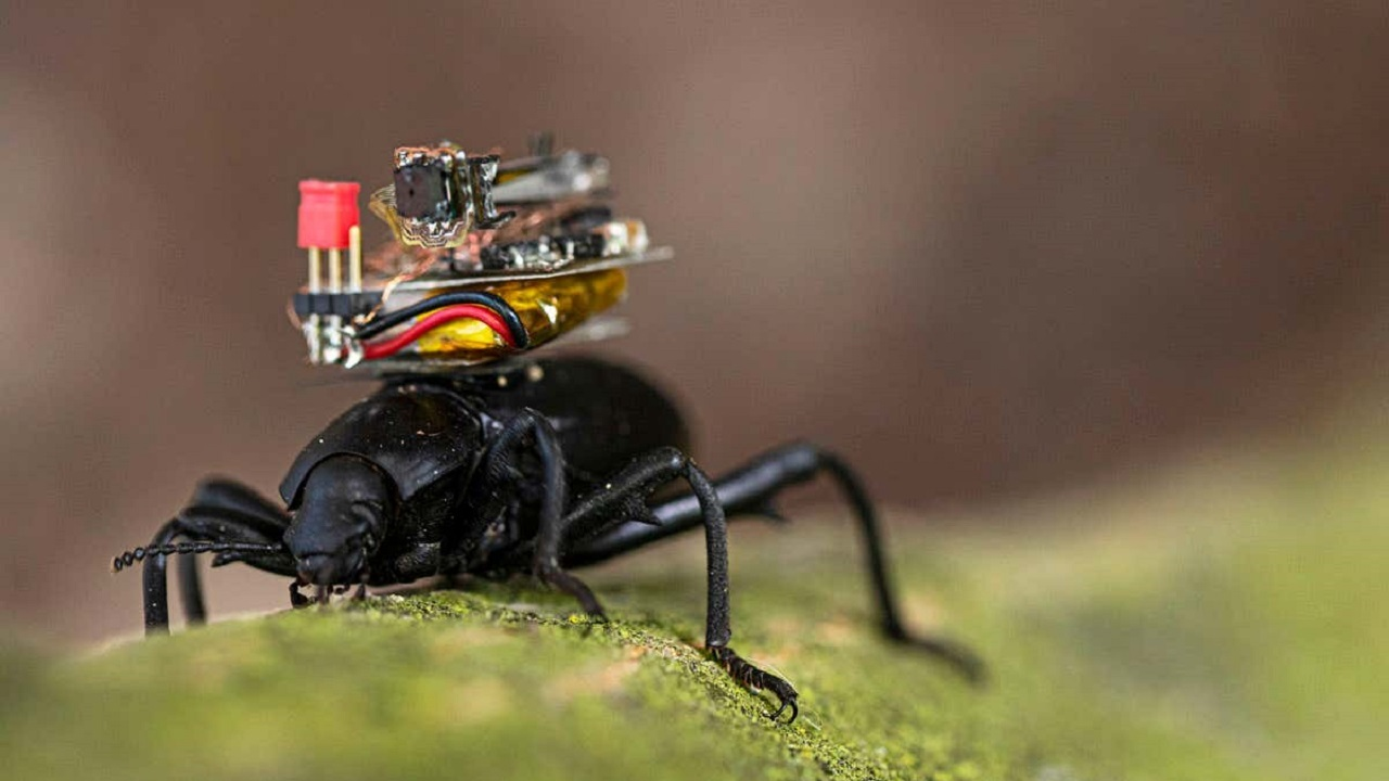 پرتاب ماهواره «ظفر 2» به زودی / تولید الماسهای نانویی با استفاده از پلاستیک 23