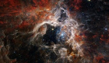 تلسکوپ فضایی جیمز وب، رتیل کیهانی را شکار می‌کند