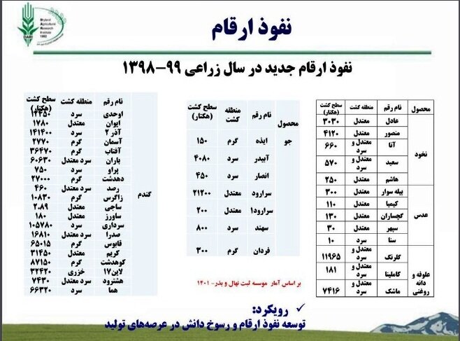 محصولات دیم نقش مهمی در امنیت غذایی کشور دارند