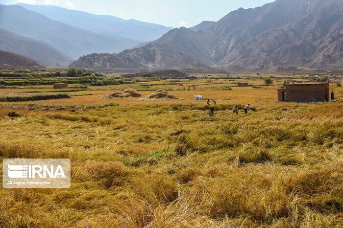 ۳۰ تعاونی در حوزه منابع طبیعی در استان اصفهان فعالیت میکنند ۳۰ تعاونی در حوزه منابع طبیعی در استان اصفهان فعالیت میکنند