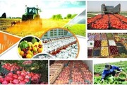 بهره‌برداری از ۲۰۵ طرح صنایع تبدیلی و تکمیلی بخش کشاورزی در هفته دولت