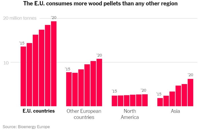 نیویورک تایمز: اروپا جنگل‌های باستانی‌اش را فدای انرژی می‌کند