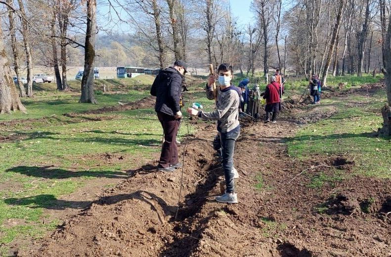 امسال هزار هکتار از جنگل‌های گلستان نهال‌کاری و احیا می‌شود