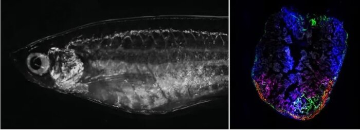 پرتاب ماهواره «ظفر 2» به زودی / تولید الماسهای نانویی با استفاده از پلاستیک 26