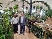فرماندار پاکدشت: گذر از بحران کم‌آبی با کشت گلخانه‌ای محقق می‌شود
