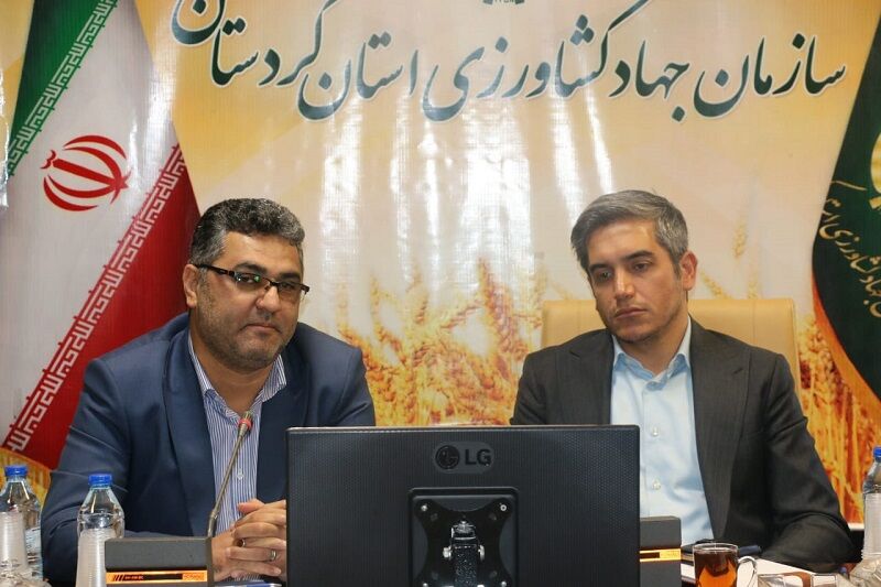 بخش کشاورزی کردستان سالانه ۴۵۰ هزار میلیارد ریال ثروت تولید می کند بخش کشاورزی کردستان سالانه ۴۵۰ هزار میلیارد ریال ثروت تولید می کند