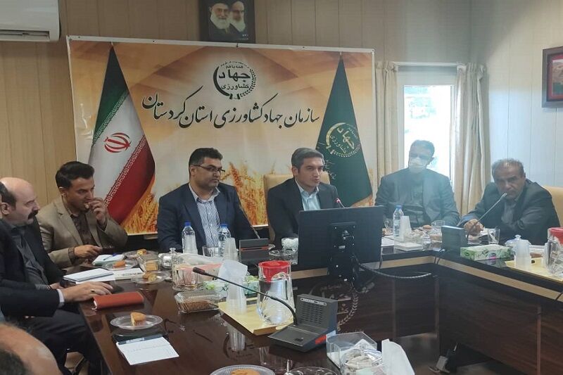 وضعیت نیروهای شرکتی ادارات تا پایان سال جاری تعیین تکلیف می شود وضعیت نیروهای شرکتی ادارات تا پایان سال جاری تعیین تکلیف می شود