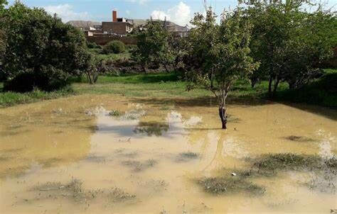 حوادث قهری بیش از ۵۶ هزار میلیارد ریال به کشاورزی استان اردبیل خسارت زد