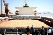 Russian wheat ship docks in Bandar Abbas on judicial order