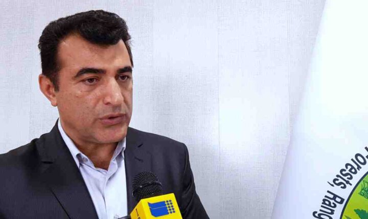 ۶ میلیون هکتار جنگلهای بلوط زاگرس جوان سازی میشود