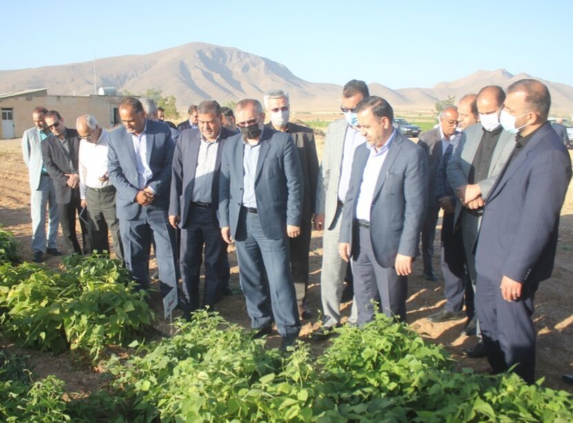 استاندار مرکزی: ۲۰ میلیارد ریال اعتبار به پردیس تحقیقات و آموزش لوبیای خمین اختصاص یافت