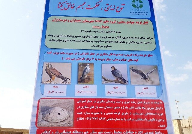 "کوخت" حقهای برای به ذلت کشیدن شکارچیان آسمان