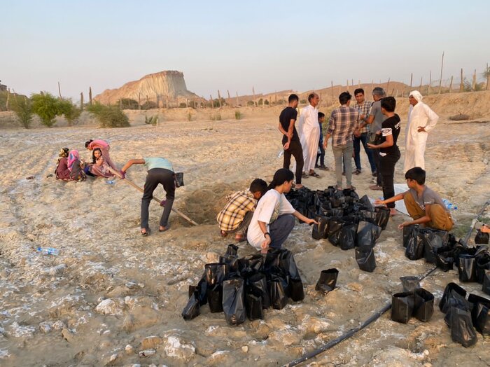 جامعه محلی قشم در حفاظت و توسعه جنگل های حرا مشارکت فعال دارد