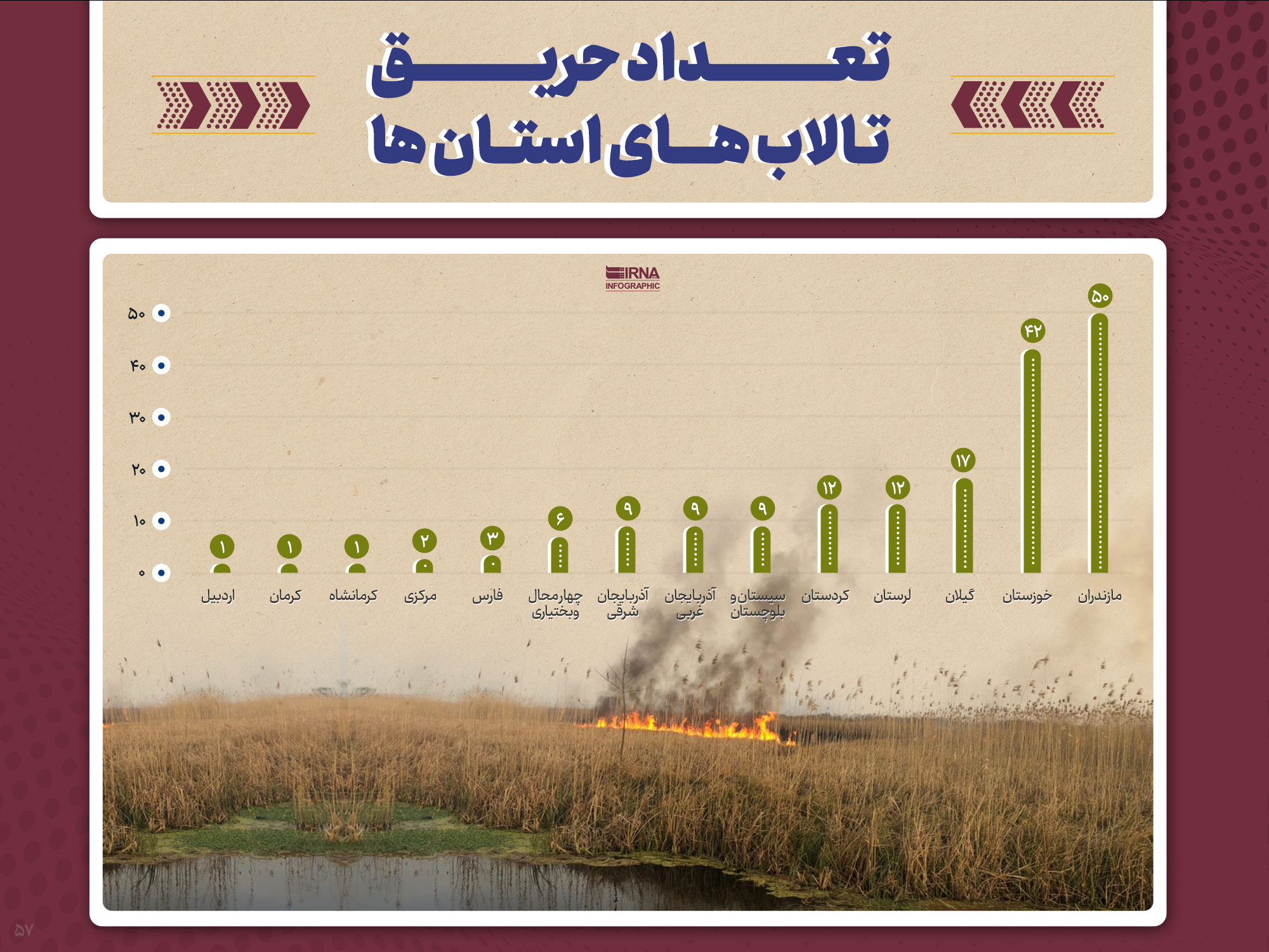 آتش به جان تالابها؛ هر ۱۲ روز یکبار