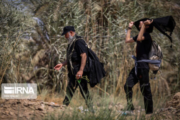 Karbala : Le chemin des Uléma à travers des palmiers-dattiers