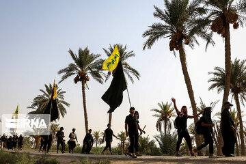 Karbala : Le chemin des Uléma à travers des palmiers-dattiers