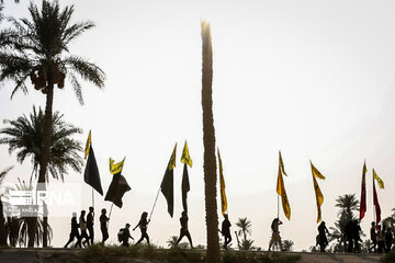 Karbala : Le chemin des Uléma à travers des palmiers-dattiers