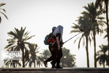 Karbala : Le chemin des Uléma à travers des palmiers-dattiers