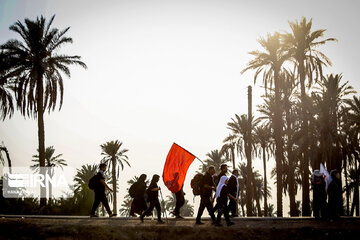 Karbala : Le chemin des Uléma à travers des palmiers-dattiers