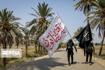 Karbala : Le chemin des Uléma à travers des palmiers-dattiers