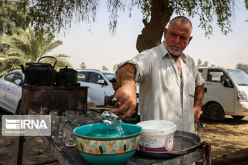 Karbala : Le chemin des Uléma à travers des palmiers-dattiers