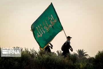 Karbala : Le chemin des Uléma à travers des palmiers-dattiers