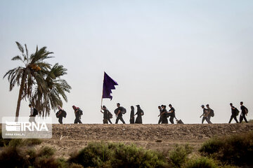 Karbala : Le chemin des Uléma à travers des palmiers-dattiers