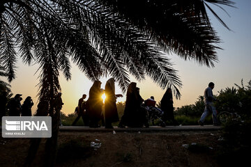 Karbala : Le chemin des Uléma à travers des palmiers-dattiers